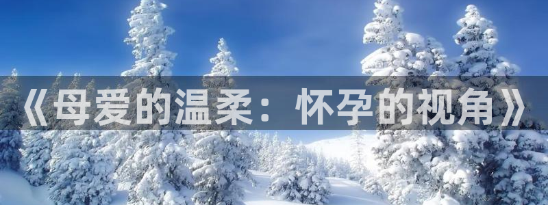 动漫屋官方正版