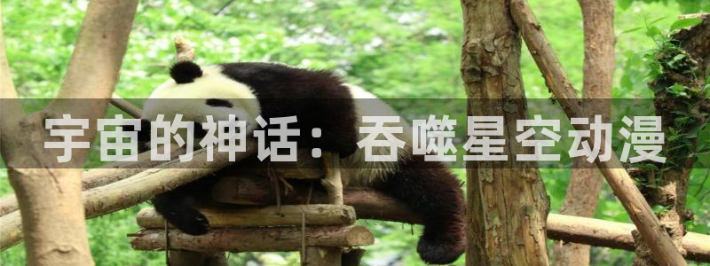 百合漫画动漫屋